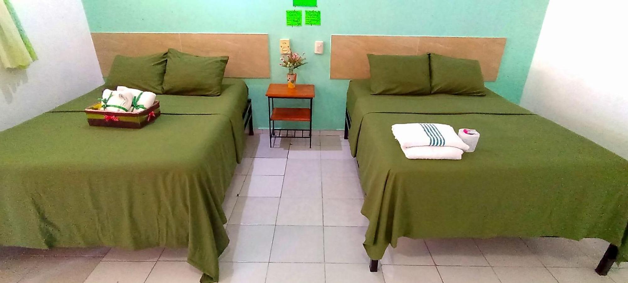 Posada Nacha'N - Ka'An Palenque Kültér fotó