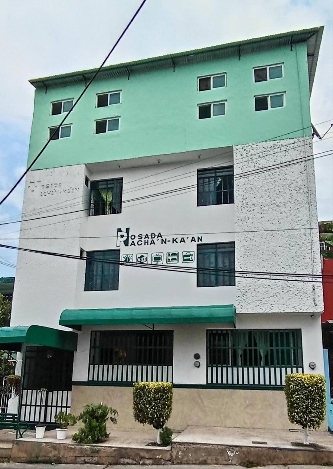 Posada Nacha'N - Ka'An Palenque Kültér fotó